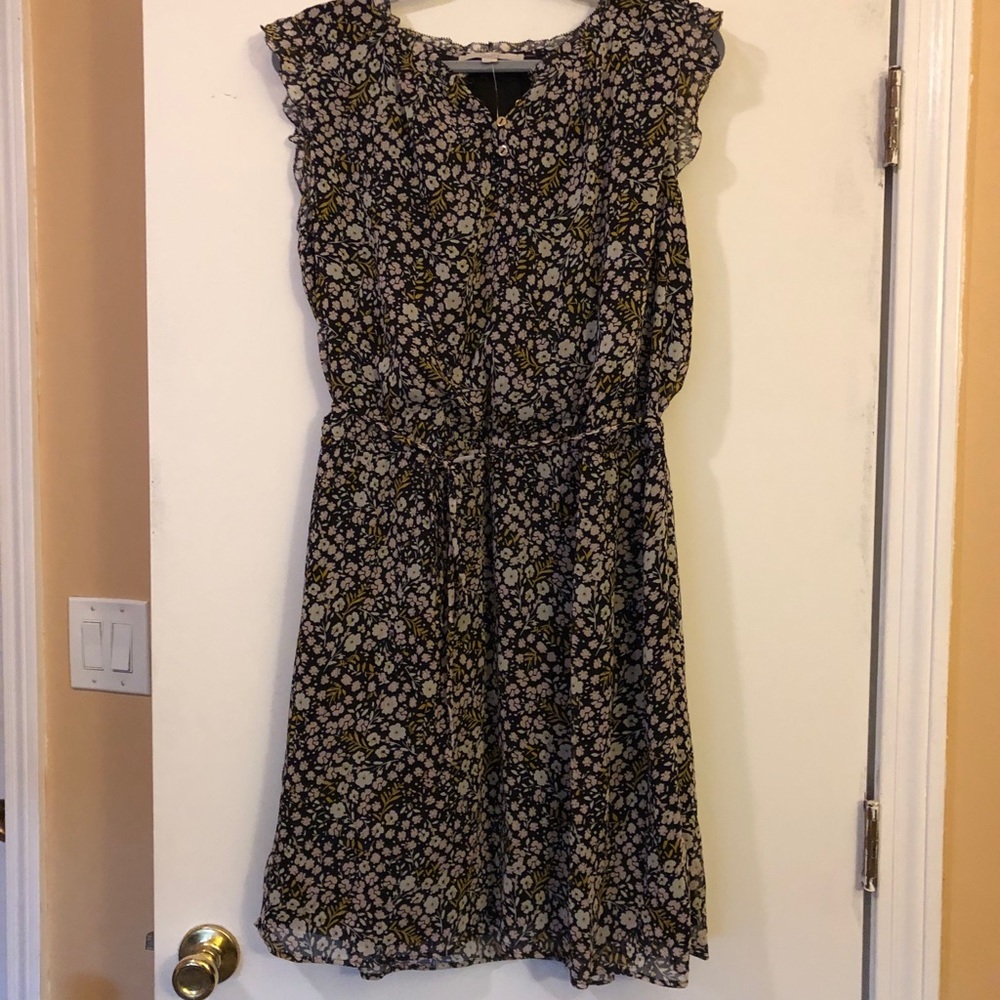 NWT Loft XXLP Floral Dress